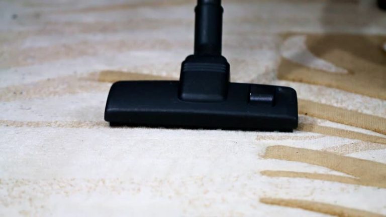 Best Vacuum for Wool Carpet